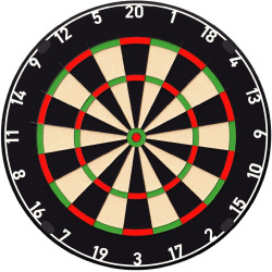 Pro Plain Dartboard - Tarcza do darta - Embassy Sports