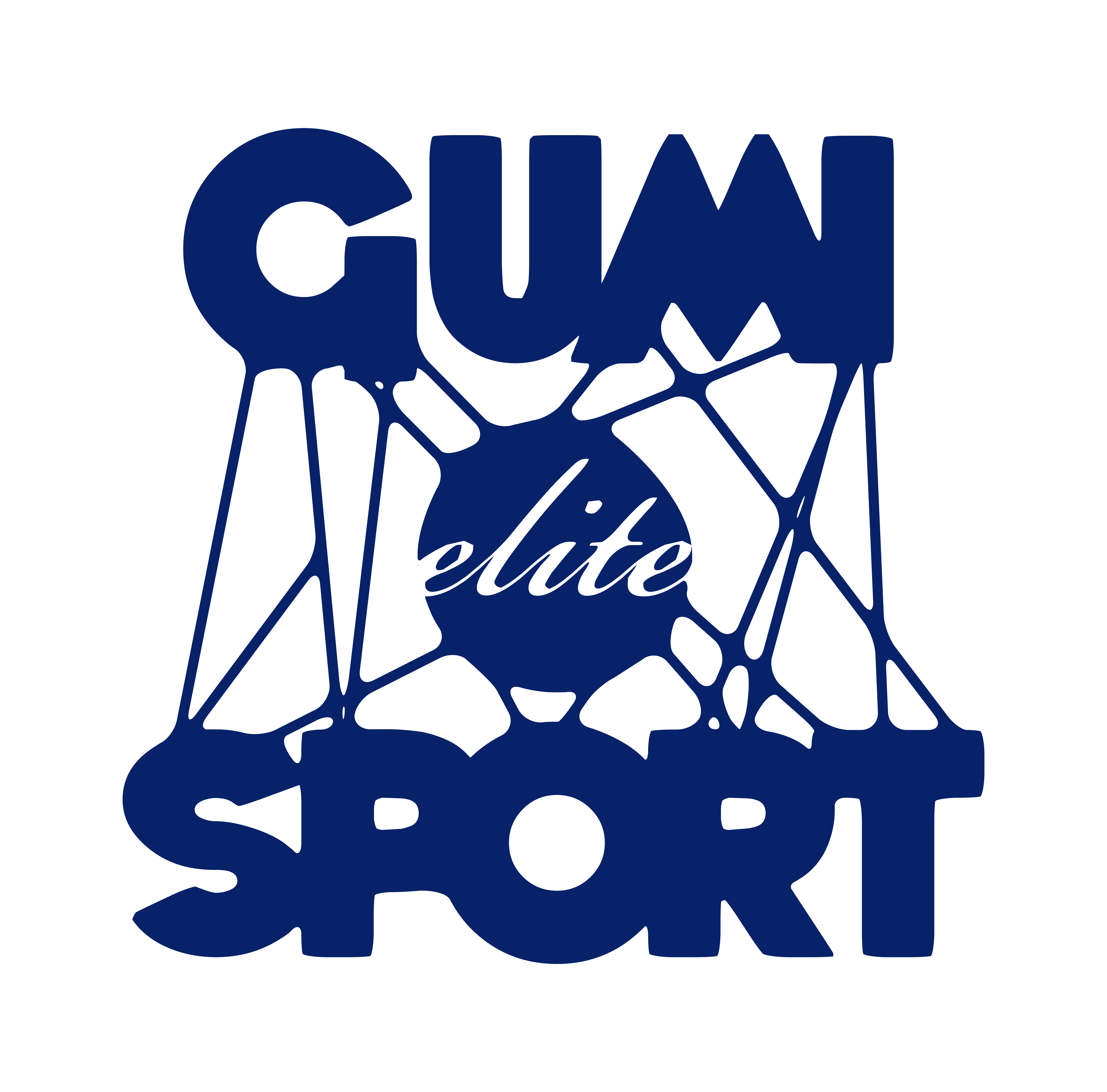 Logo GUMI ELITE SPORT